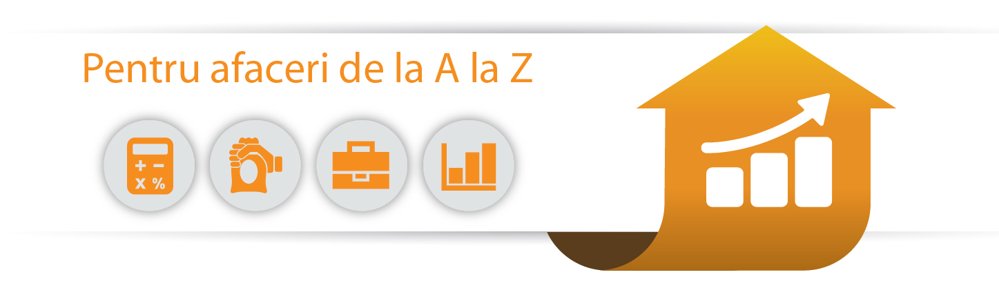 Servicii postale business